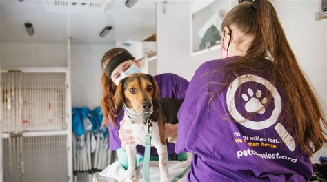 Get Free & Low Cost Vaccines for Your Pets .